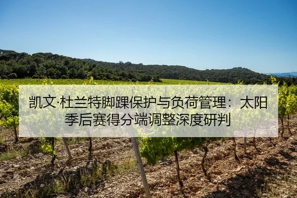 凯文·杜兰特脚踝保护与负荷管理：太阳季后赛得分端调整深度研判