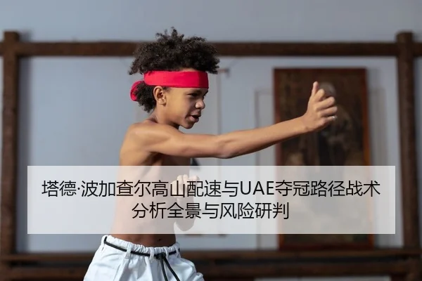 ta-de-bo-jia-cha-er-gao-shan-pei-su-yu-duo-guan-lu-jing-zhan-shu-fen-xi-quan-jing-yu-feng-xian-yan-pan-2-216.jpg